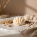 Shell Candle